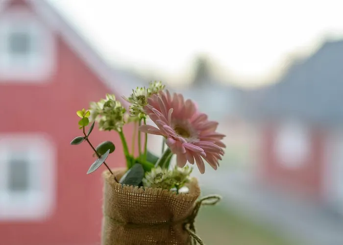 Сasa de vacaciones Haus Michel